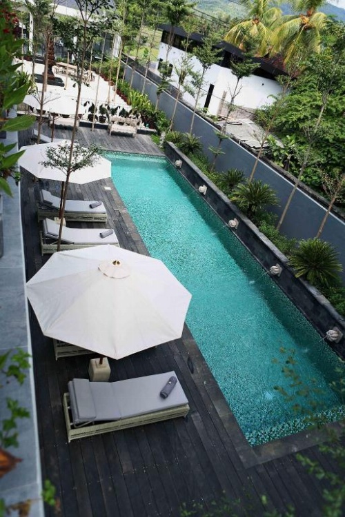 Lovina life Room & Cafe image 4